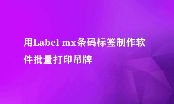 用Label mx条码标签制作软件批量打印吊牌