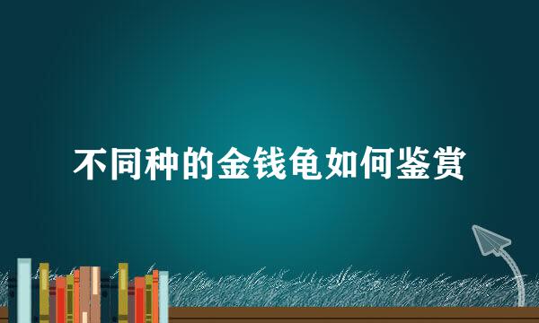 不同种的金钱龟如何鉴赏