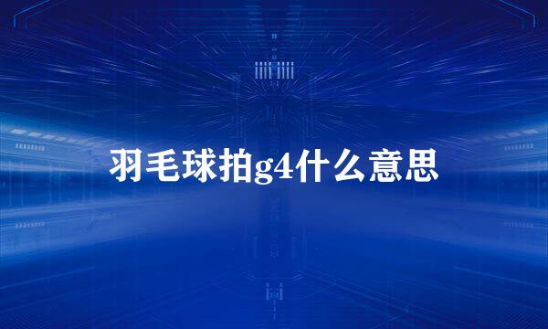 羽毛球拍g4什么意思