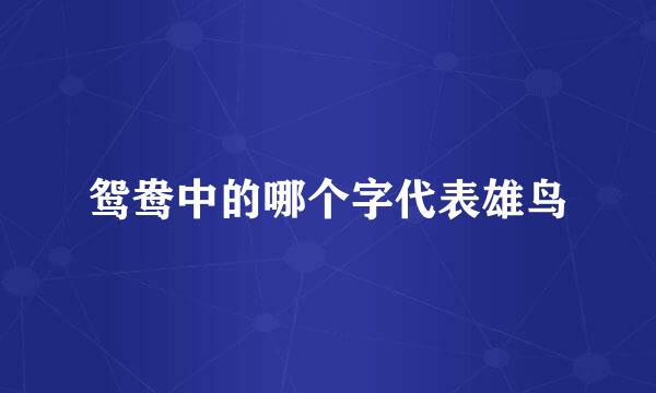 鸳鸯中的哪个字代表雄鸟
