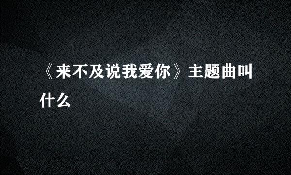 《来不及说我爱你》主题曲叫什么
