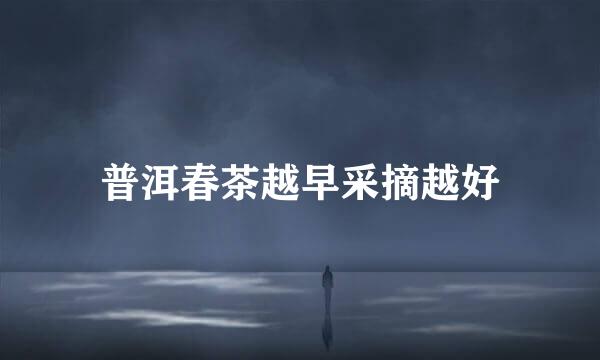 普洱春茶越早采摘越好