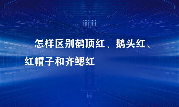 ​怎样区别鹤顶红、鹅头红、红帽子和齐鳃红