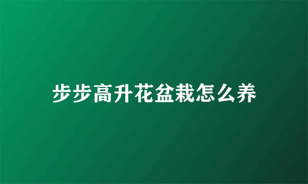 步步高升花盆栽怎么养