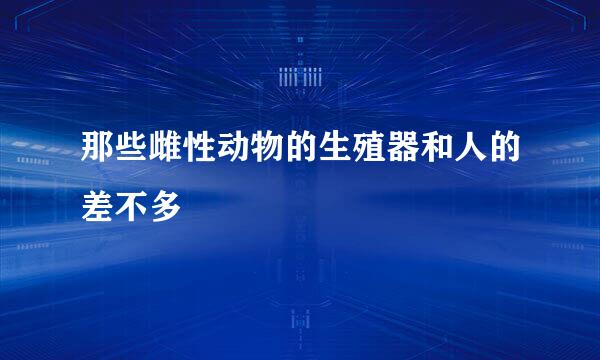 那些雌性动物的生殖器和人的差不多