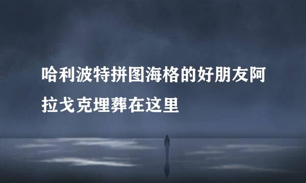 哈利波特拼图海格的好朋友阿拉戈克埋葬在这里