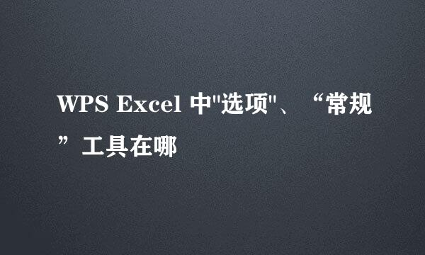 WPS Excel 中