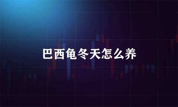 巴西龟冬天怎么养