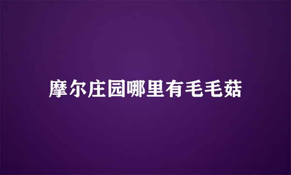 摩尔庄园哪里有毛毛菇