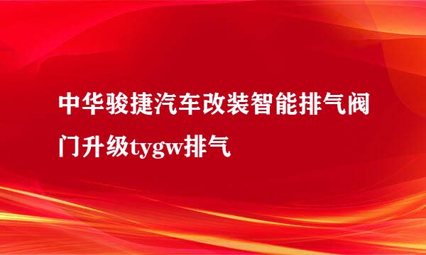中华骏捷汽车改装智能排气阀门升级tygw排气