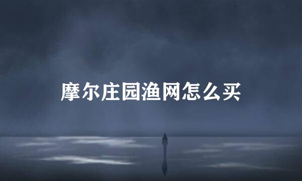 摩尔庄园渔网怎么买