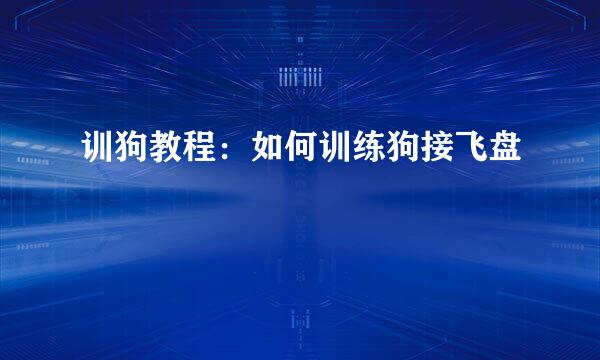 训狗教程:如何训练狗接飞盘