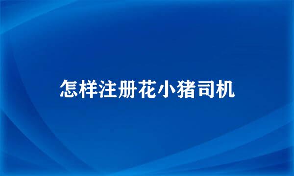 怎样注册花小猪司机