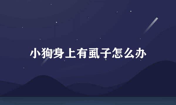 小狗身上有虱子怎么办