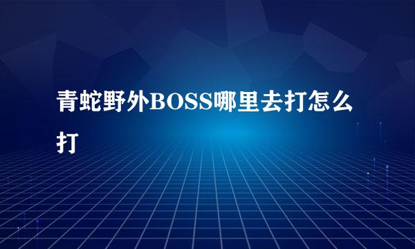 青蛇野外BOSS哪里去打怎么打