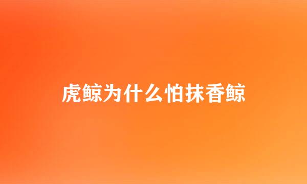 虎鲸为什么怕抹香鲸
