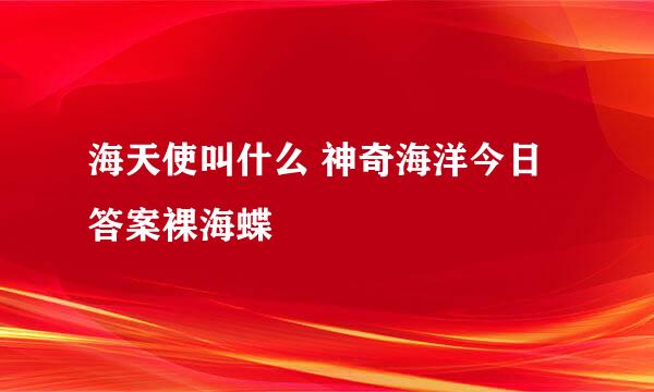 海天使叫什么 神奇海洋今日答案裸海蝶
