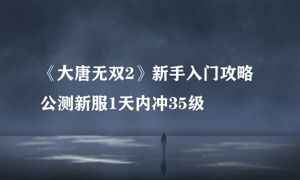《大唐无双2》新手入门攻略公测新服1天内冲35级