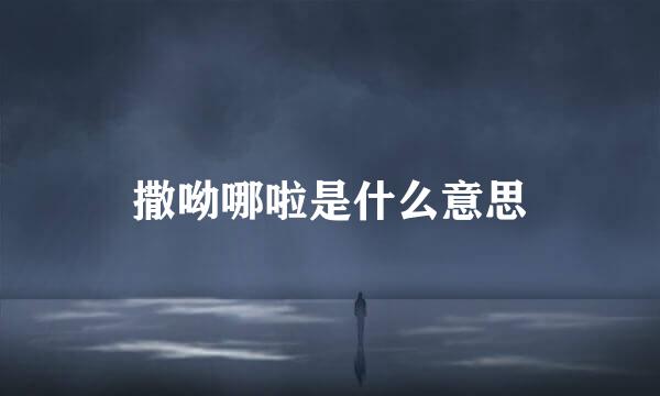 撒呦哪啦是什么意思