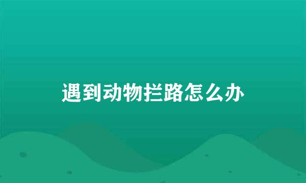遇到动物拦路怎么办