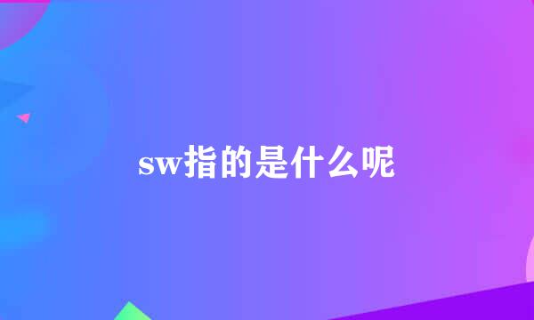 sw指的是什么呢