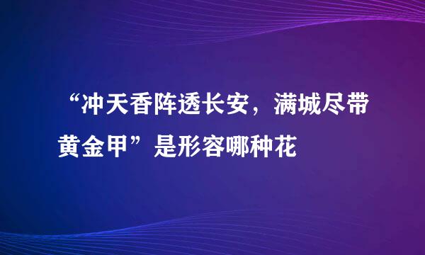 “冲天香阵透长安，满城尽带黄金甲”是形容哪种花