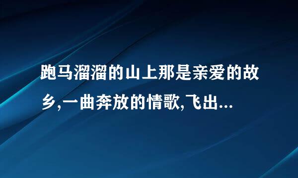 跑马溜溜的山上那是亲爱的故乡,一曲奔放的情歌,飞出了茶马古道 ，是什么歌