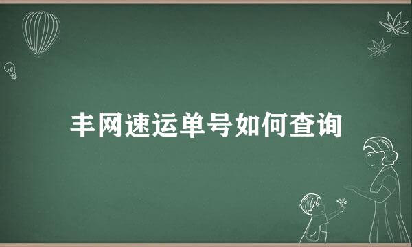 丰网速运单号如何查询