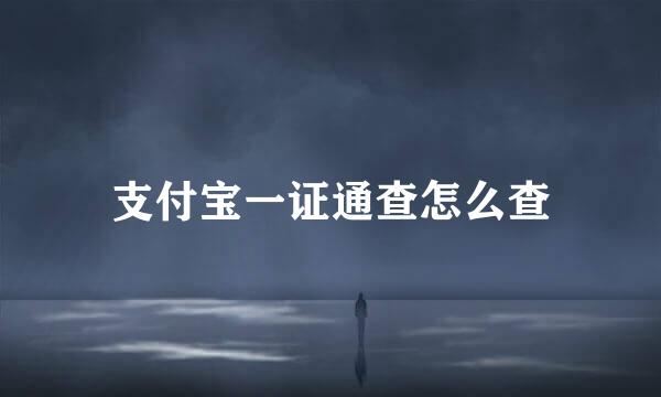 支付宝一证通查怎么查