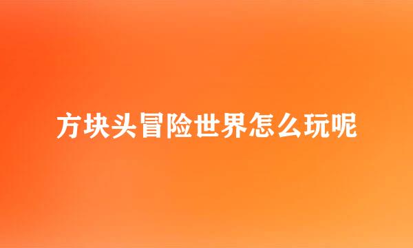 方块头冒险世界怎么玩呢