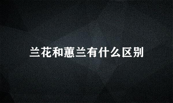 兰花和蕙兰有什么区别
