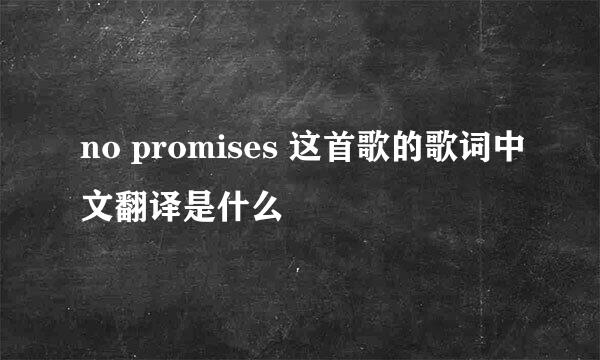 no promises 这首歌的歌词中文翻译是什么