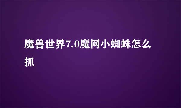 魔兽世界7.0魔网小蜘蛛怎么抓