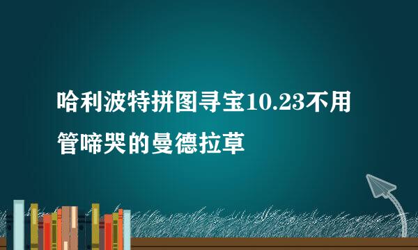 哈利波特拼图寻宝10.23不用管啼哭的曼德拉草