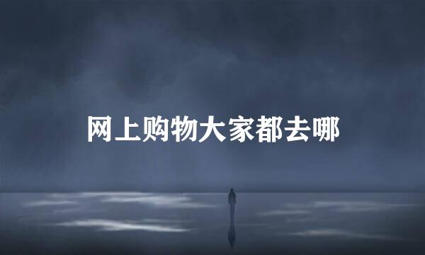 网上购物大家都去哪