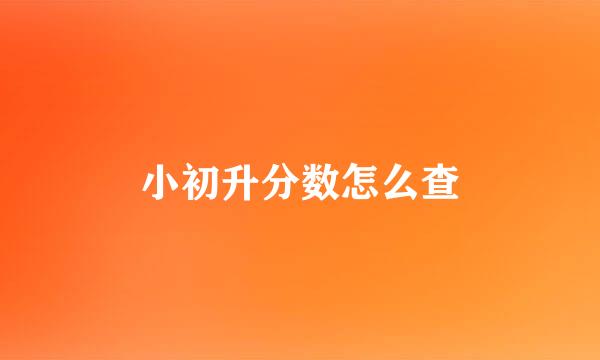 小初升分数怎么查