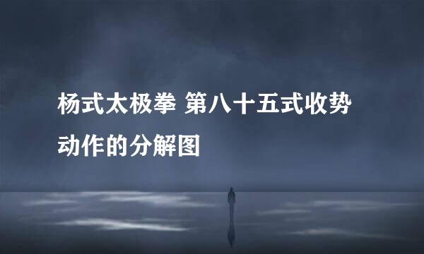 杨式太极拳 第八十五式收势动作的分解图