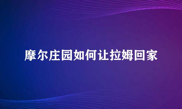 摩尔庄园如何让拉姆回家