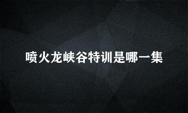 喷火龙峡谷特训是哪一集