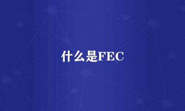 什么是FEC
