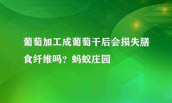 葡萄加工成葡萄干后会损失膳食纤维吗？蚂蚁庄园