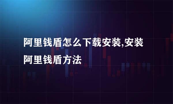 阿里钱盾怎么下载安装,安装阿里钱盾方法