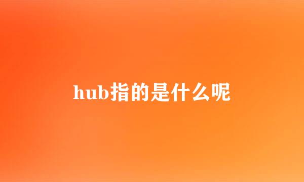 hub指的是什么呢