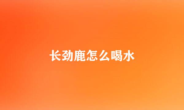 长劲鹿怎么喝水