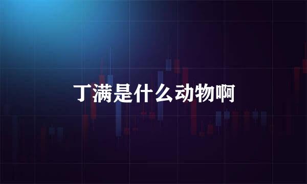 丁满是什么动物啊