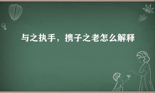 与之执手，携子之老怎么解释
