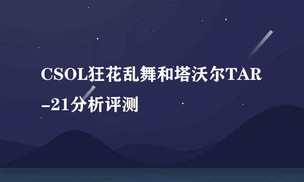CSOL狂花乱舞和塔沃尔TAR-21分析评测