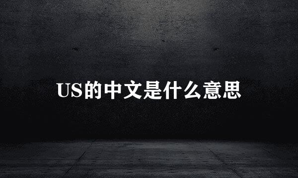 US的中文是什么意思