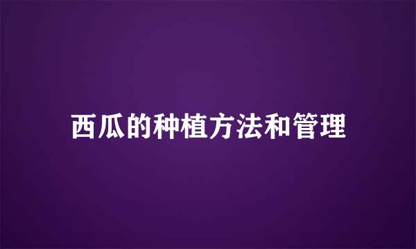 西瓜的种植方法和管理