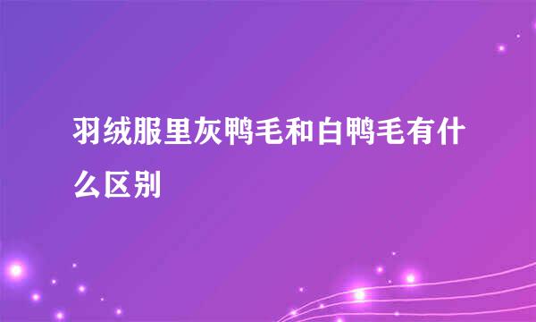 羽绒服里灰鸭毛和白鸭毛有什么区别